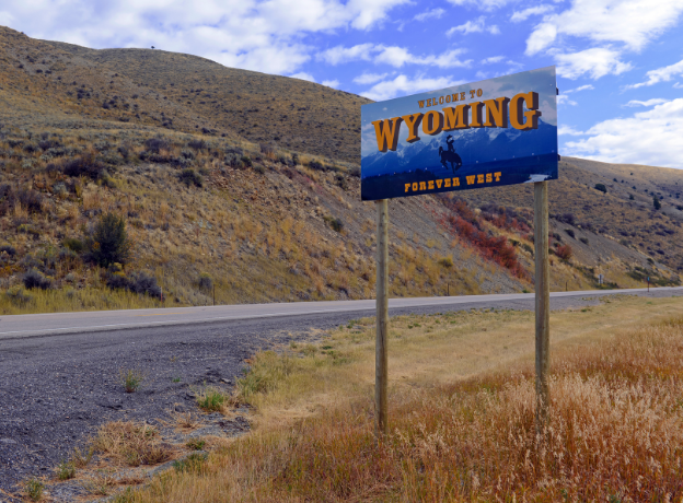 How to Create a Wyoming LLC – The Ultimate Step by Step Guide