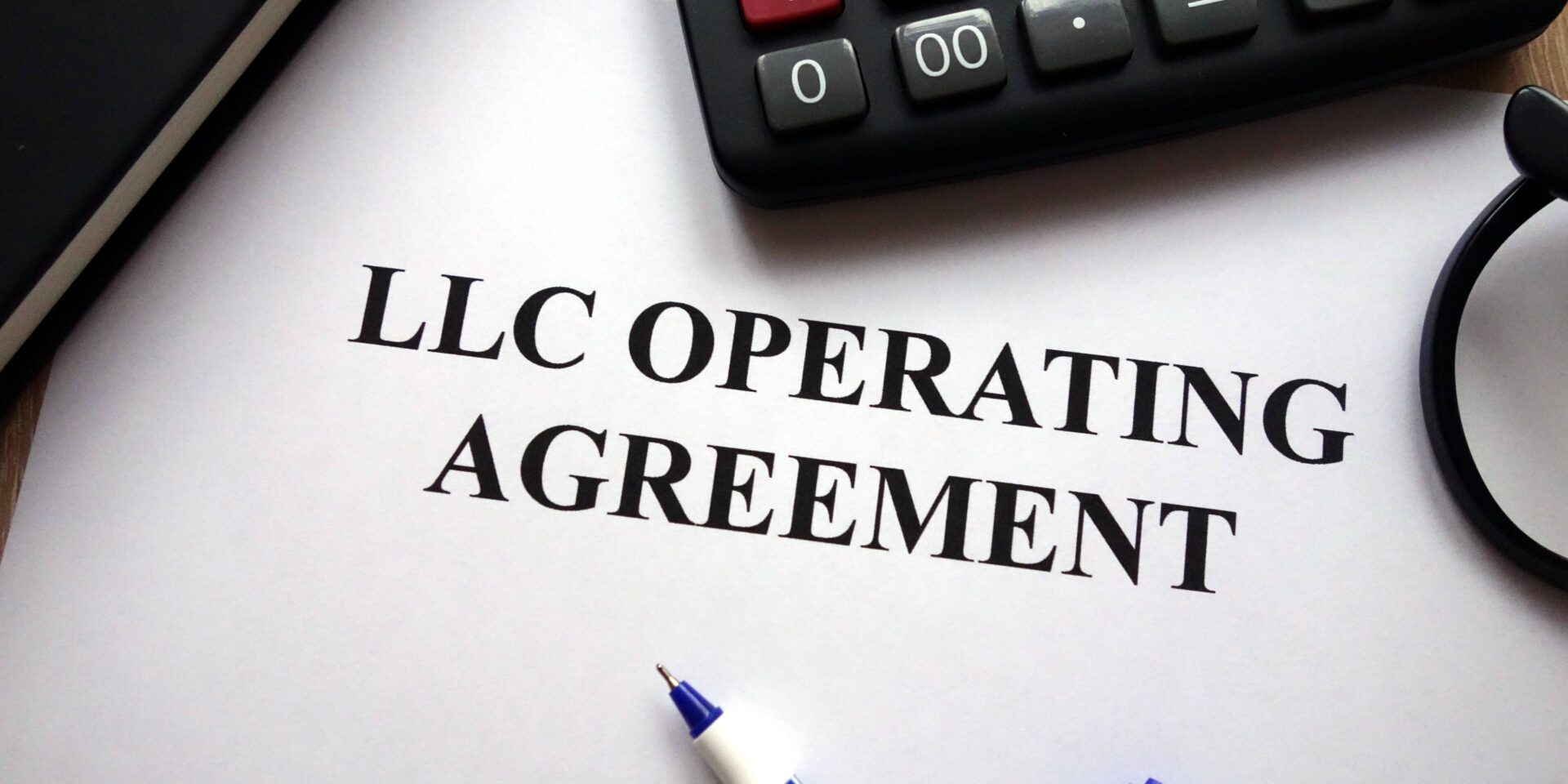 What is a Domestic Limited Liability Company?
