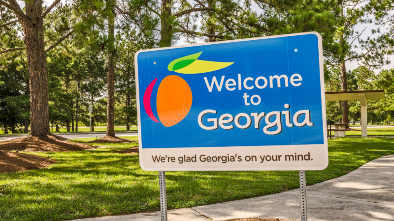 How to Start a Nonprofit in Georgia_ An Incorporation Guide