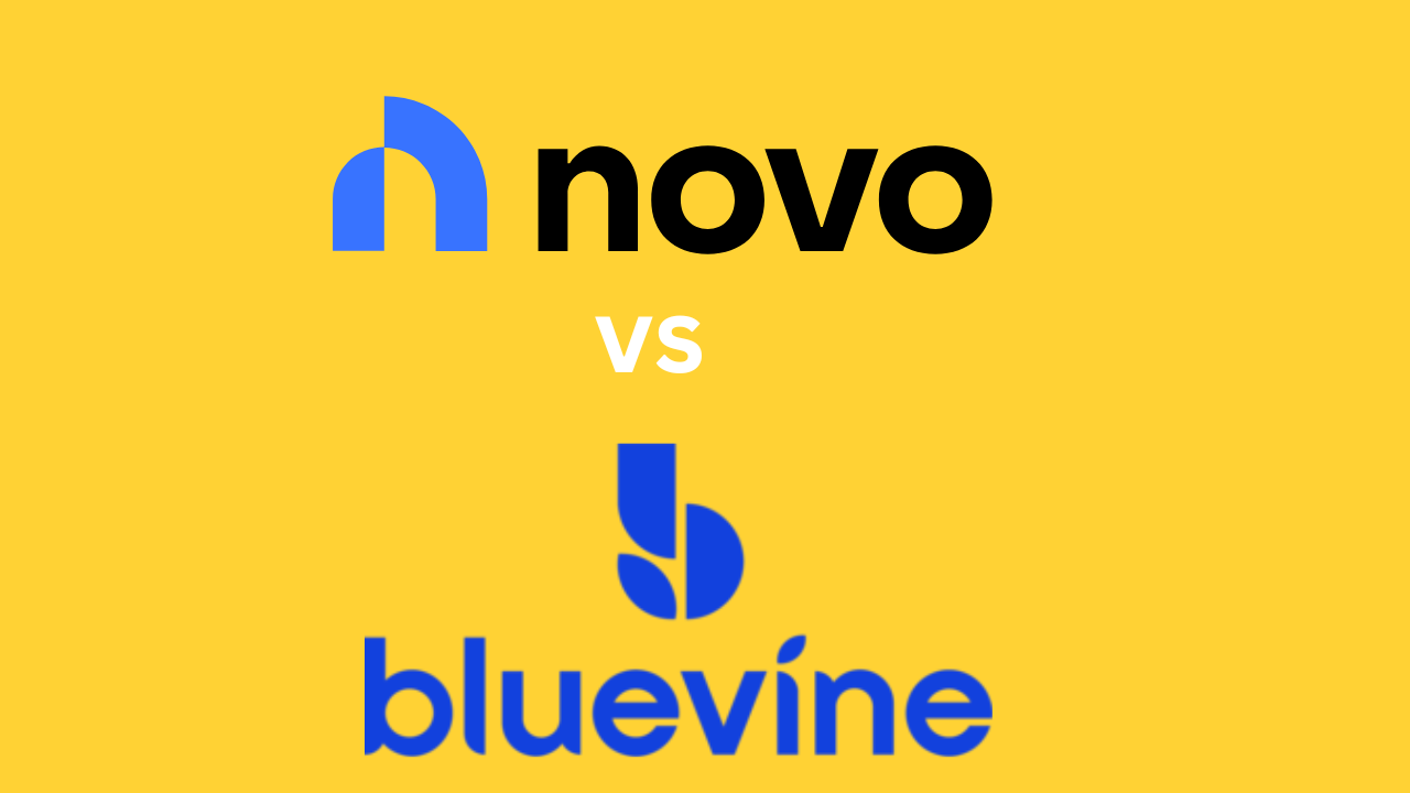 Novo vs Bluevine: Which One is Better?