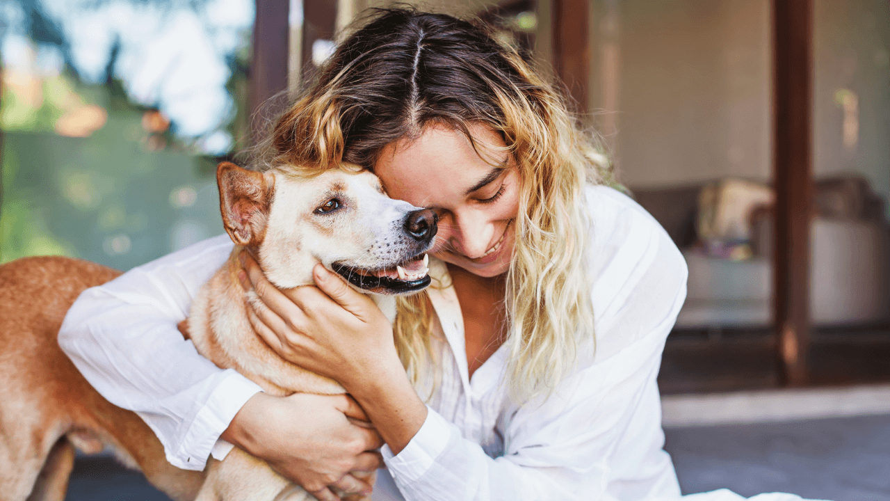 14 Fun Side Hustle Ideas for Animal Lovers