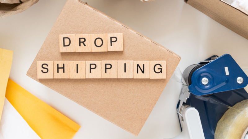 The Most Successful Dropshipping Stores_ Examples, Tools, and Resources