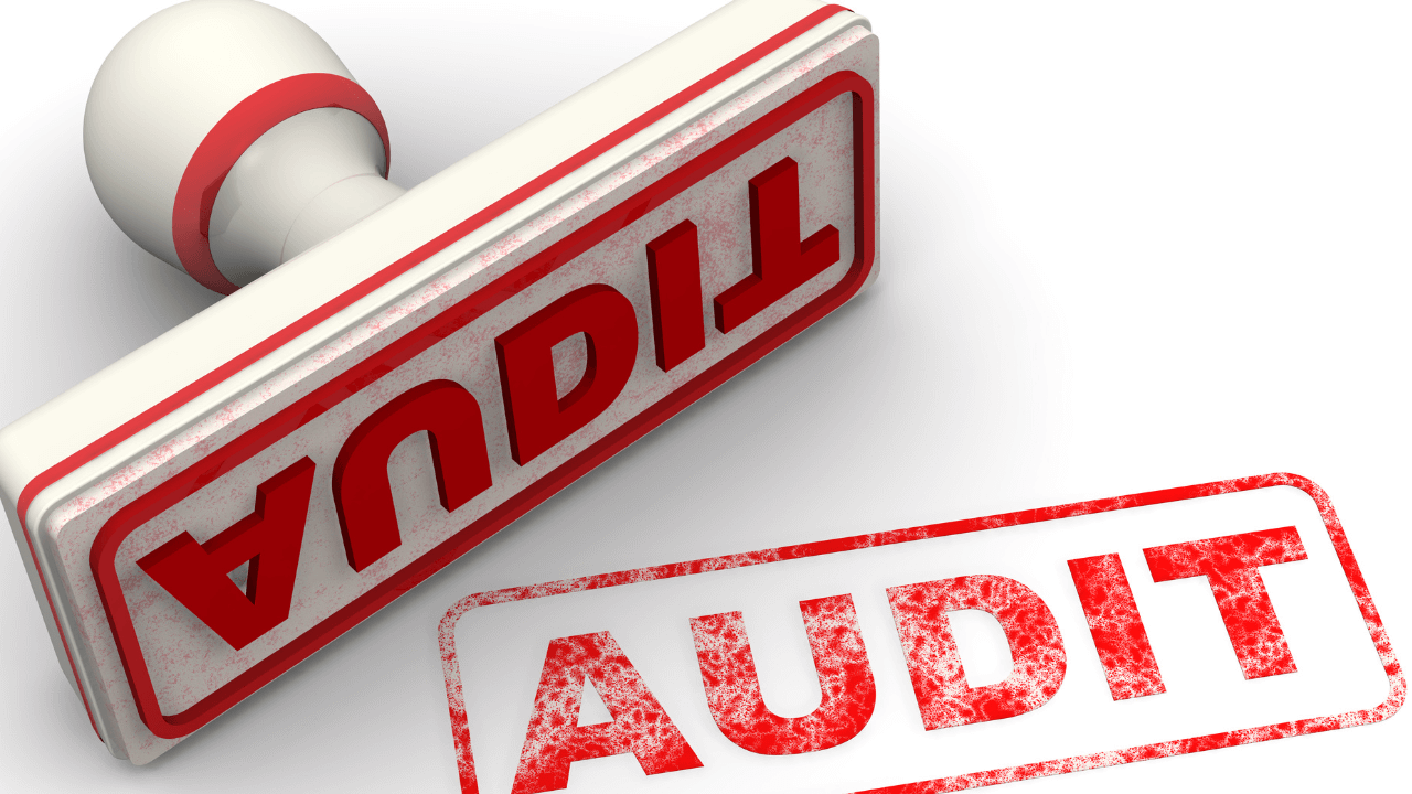 Expense Tracking for Small Businesses: Avoiding IRS Audits in 2025