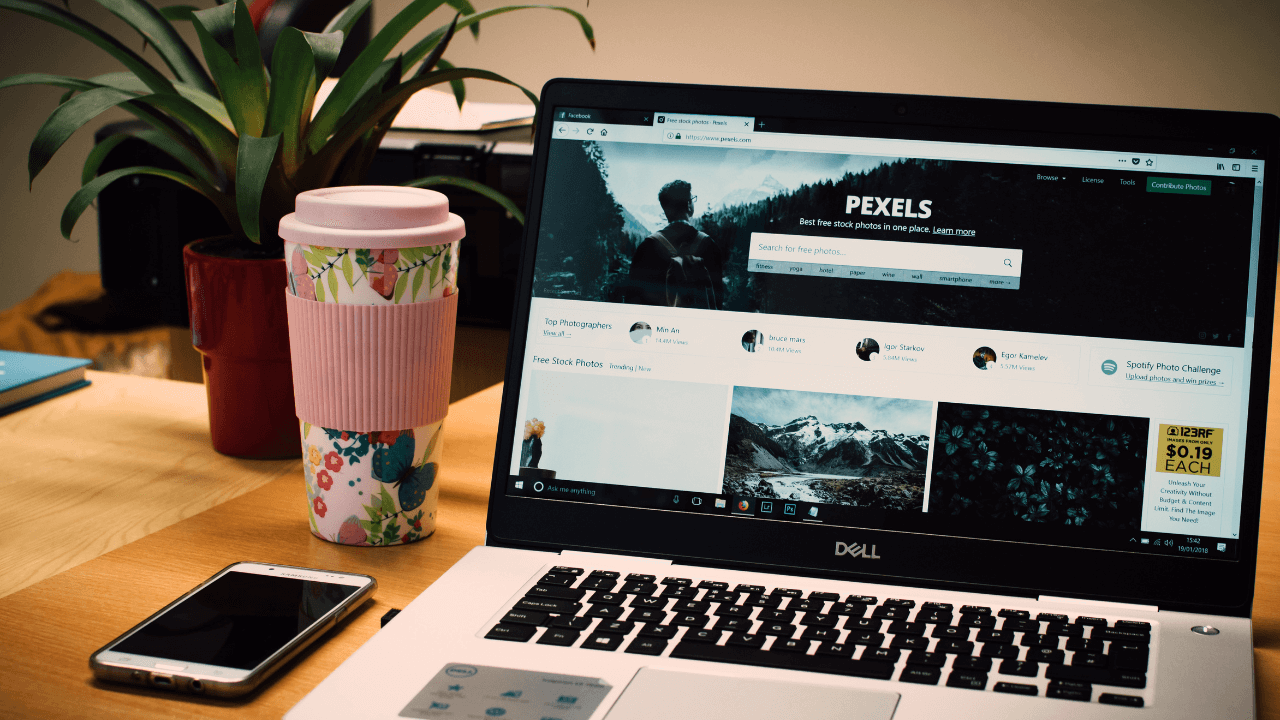 Next Step_ Starting a Website