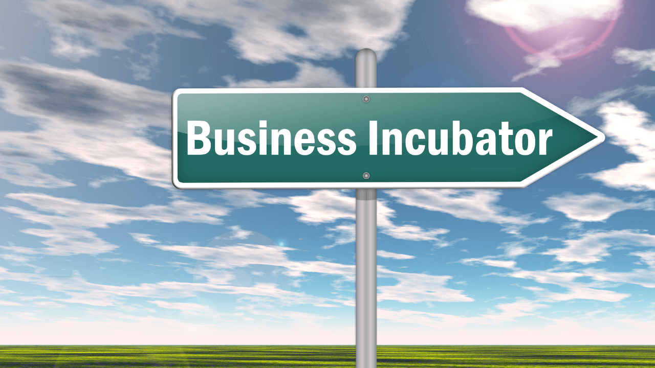 Top 12 Incubators and Accelerators for Startups