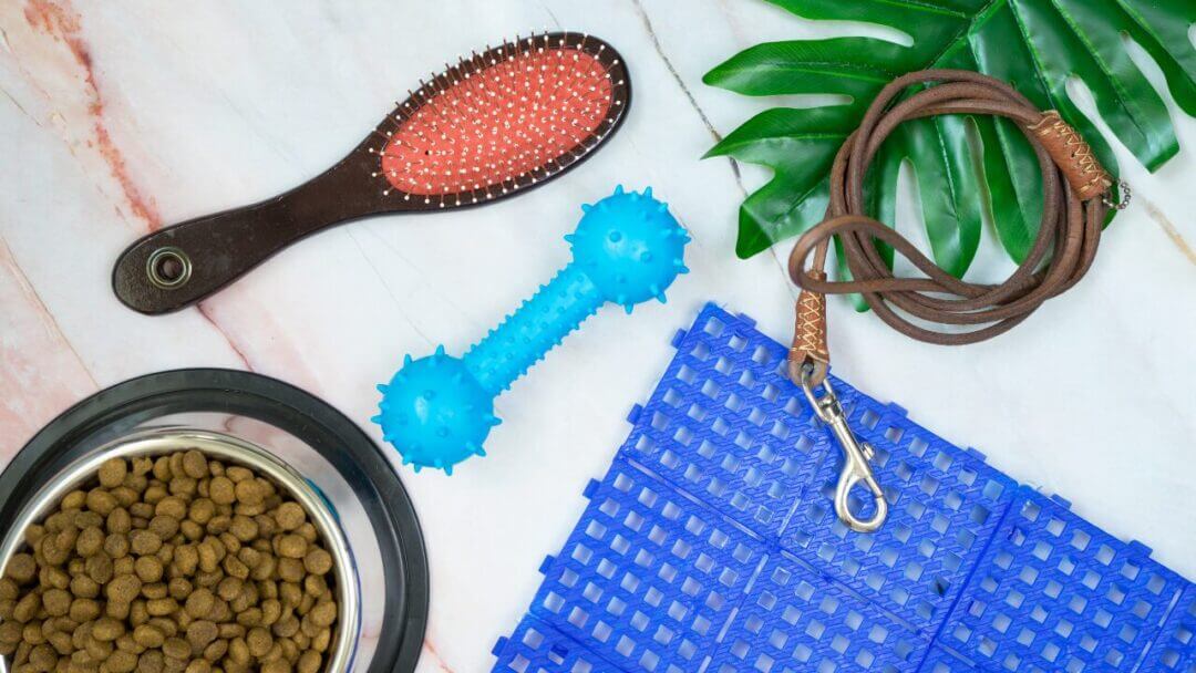 4. Get Pet Grooming Equipment and Supplies