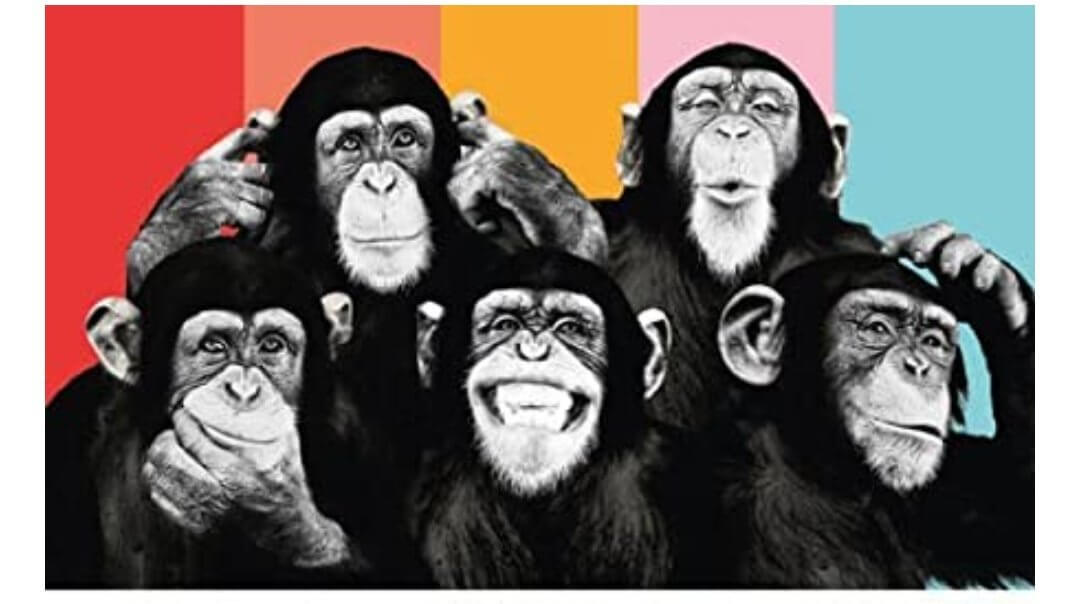five chimps theory