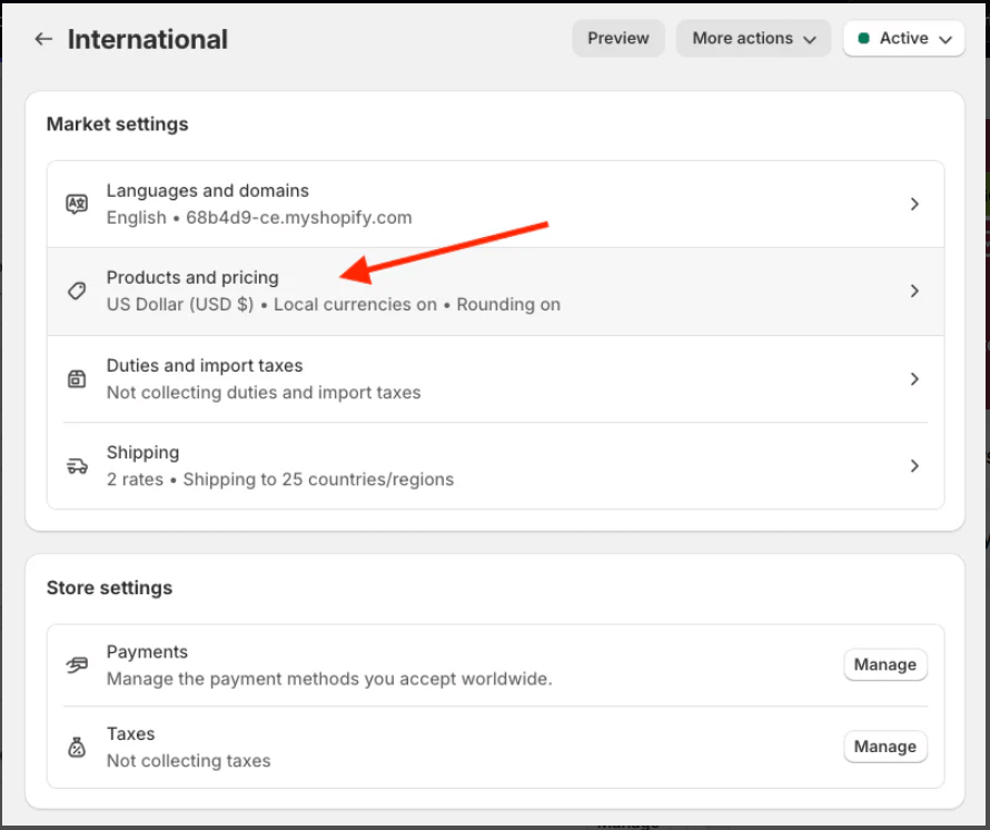 Shopify for Beginners: How to Accept International Payments in Shopify in [year]