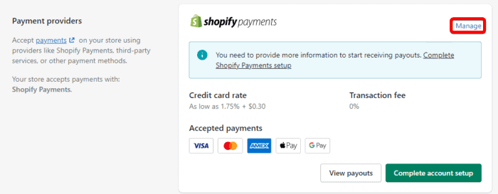 Shopify for Beginners: How to Accept International Payments in Shopify in [year]