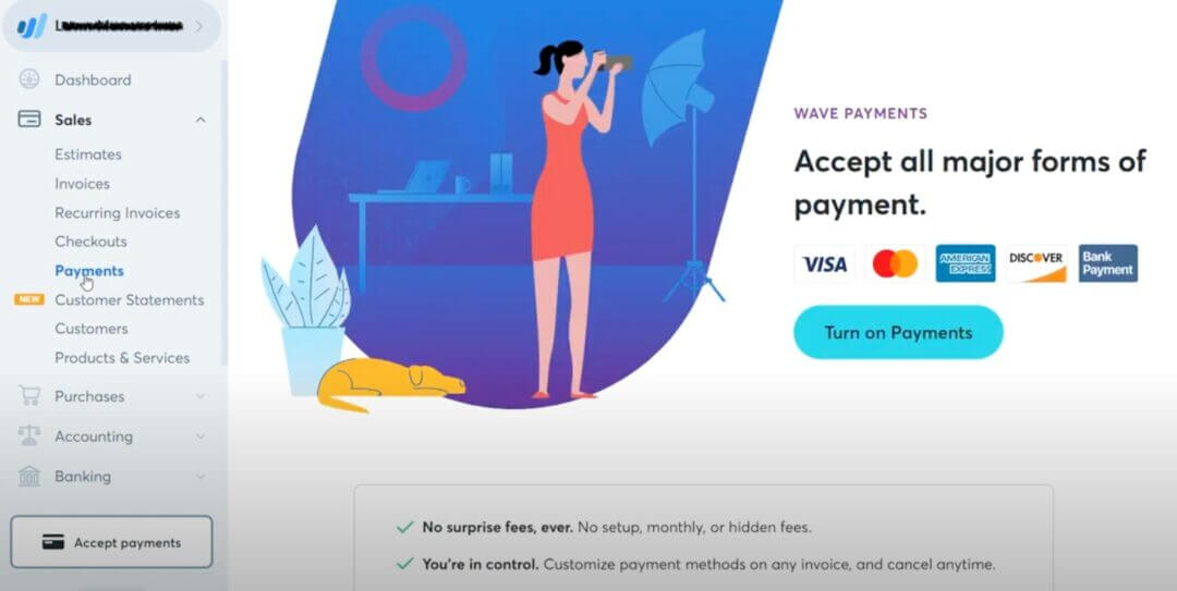 How to Use Wave Accounting: A Complete Beginner’s Tutorial for [year]