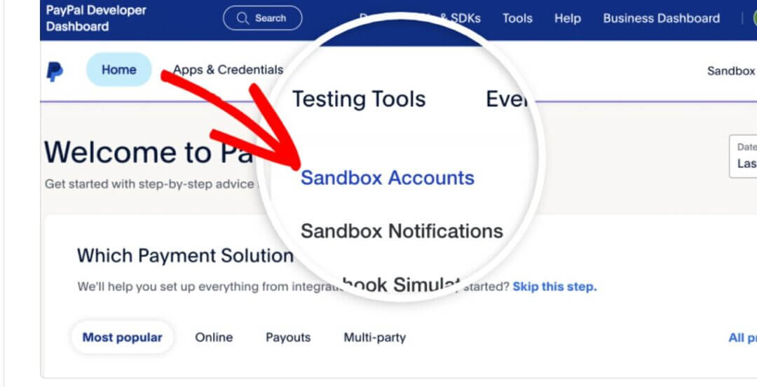 PayPal Payments Set-up for US and Non-US Founders PayPal Payments Set-up for US and Non-US Founders