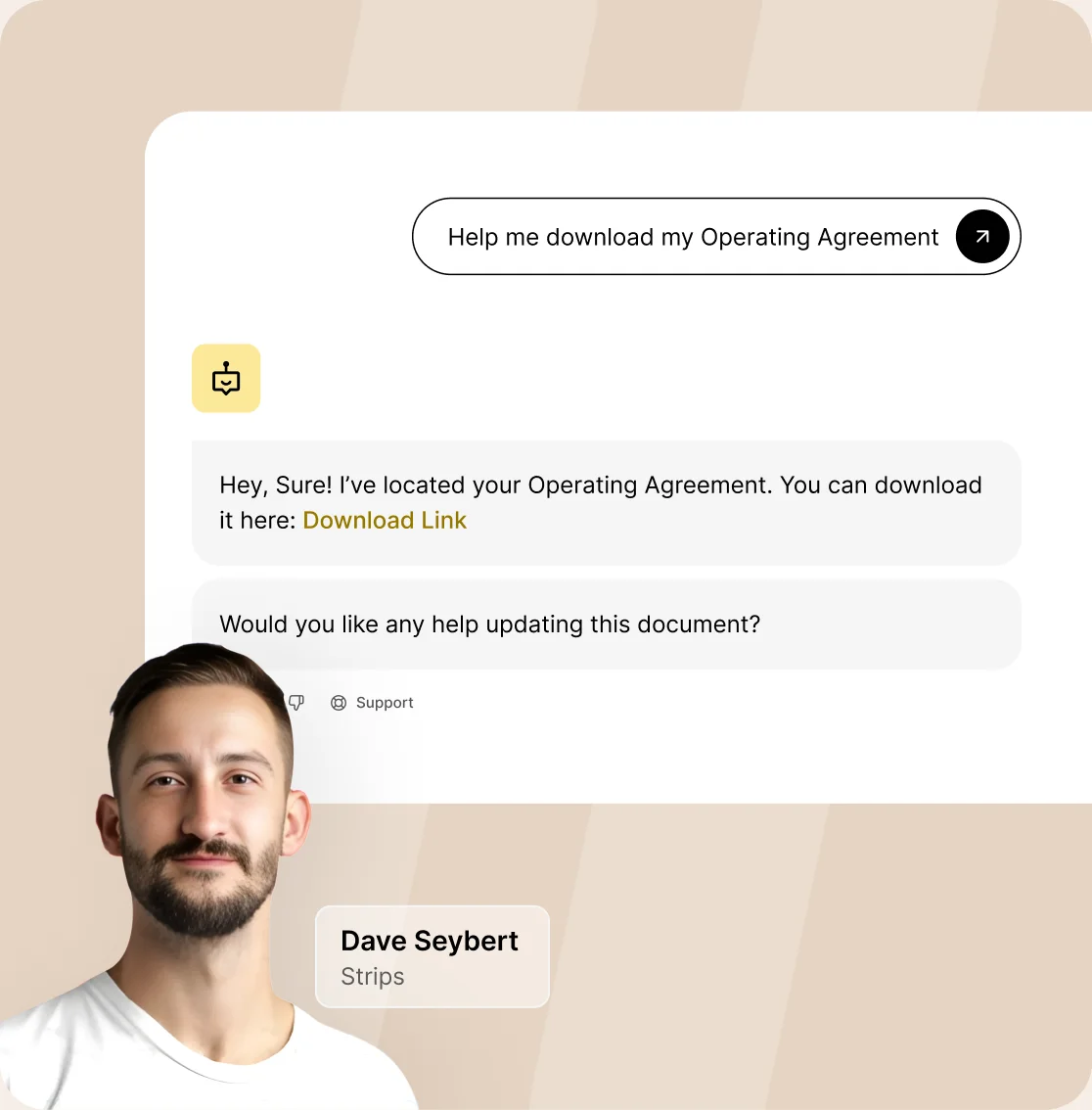 FINGREI Technosoft doola AI Co-Founder chat answering a founder question